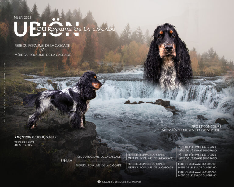 montage de pedigree paysage