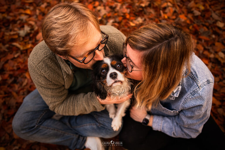 automne famille cavalier king charles