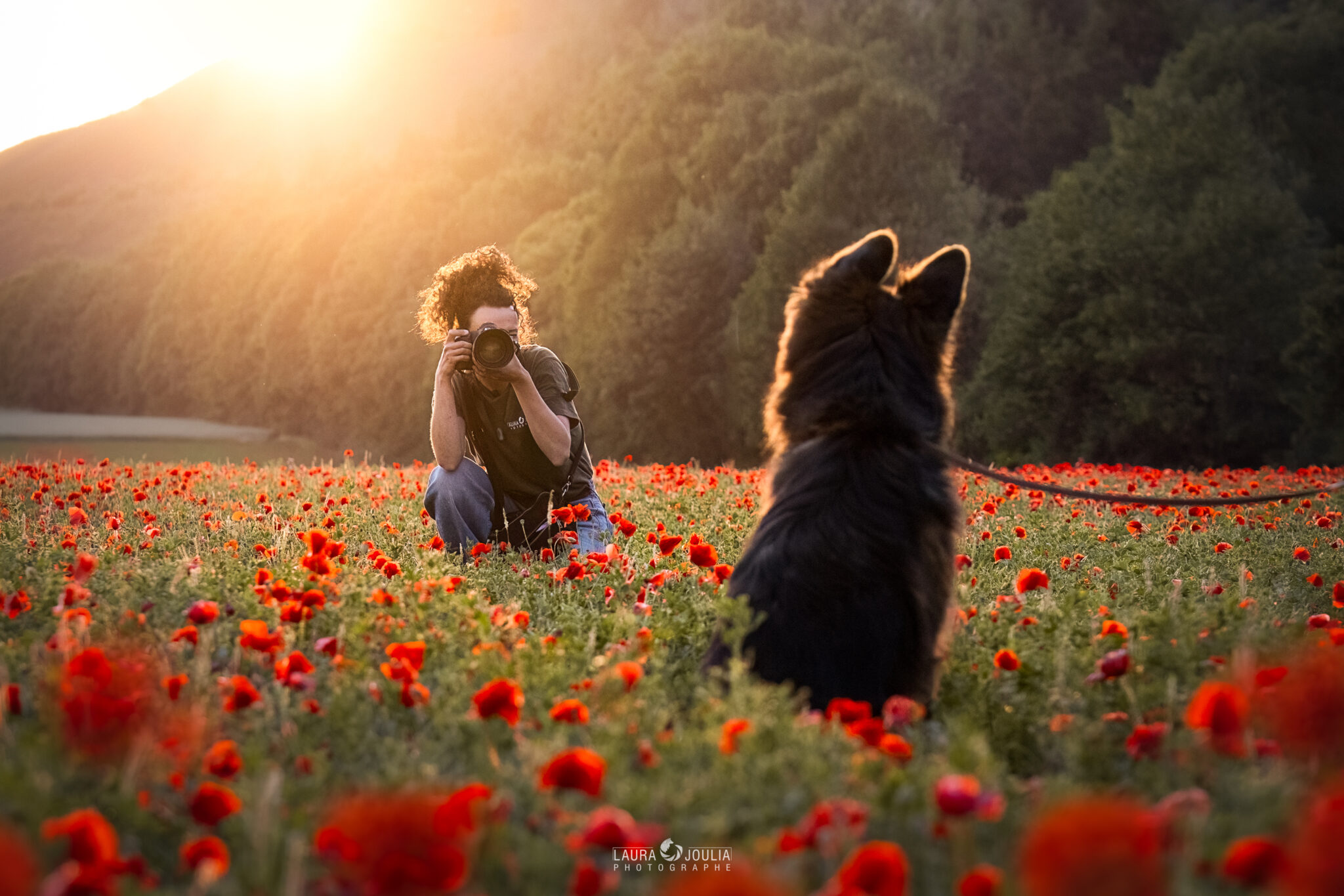 Photo Paysage de laura joulia photographe avec un chien dans les coquelicots